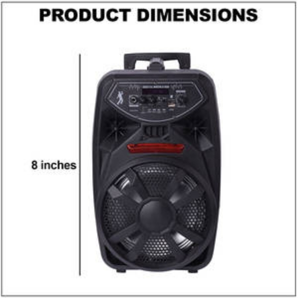 HOST PICK - Bluetooth Portable Player with Microphone - Picture 3 of 7